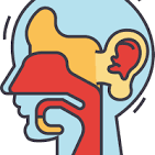 kidney-image